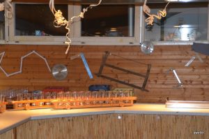 Königsball 2015 – historisches Vereinsfoto 17