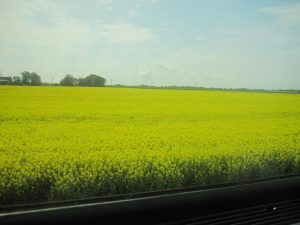 Westerland 2010 – historisches Vereinsfoto 4